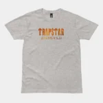 Trapstar It’s A Secret Fire T-Shirt Gray